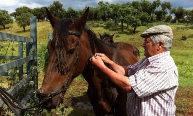 El ganadero Enrique Serrano preocupado por su amigo Ortega Cano: «es una persona que lo da todo»