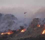 La región extremeña registra 209 incendios forestales y de ellos más de 80 fueron intencionados