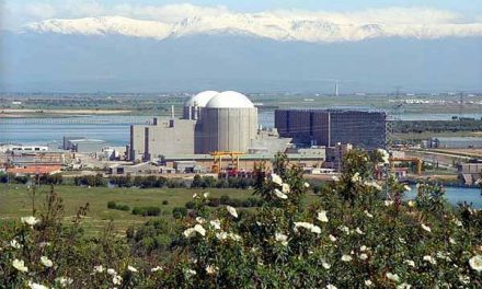El PSOE vota en contra de la propuesta del PP que defiende prolongar la vida de la Central Nuclear de Almaraz