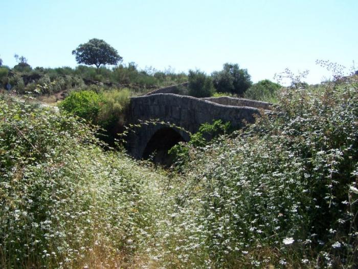 Andares denuncia que «La Puente», en la Cañada de los Rebollares, sufre desperfectos «muy graves»