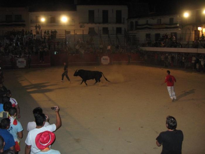 Los primeros festejos taurinos populares de Moraleja concluyen sin heridos ni incidentes