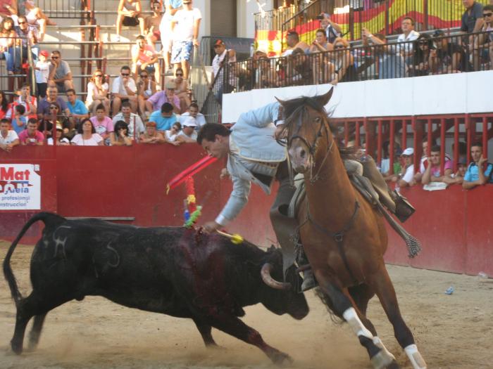 Los toros de Joaquín Herrero y los Forcados de Arronches, lo mejor del festejo de rejones de Moraleja