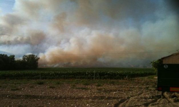 Los técnicos del Plan Infoex dan por controlado el incendio que se originó en la comarca de La Vera