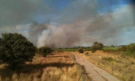 El incendio forestal de La Vera, ya controlado, calcina 373 hectáreas de Collado y Cuacos de Yuste