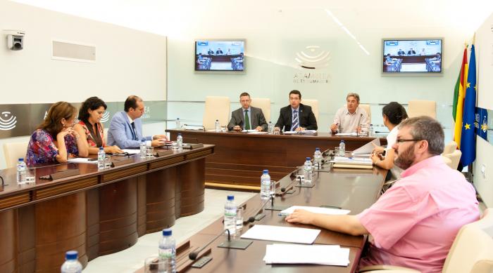 La Asamblea de Extremadura constituye las siete últimas comisiones que faltaban de un total de catorce