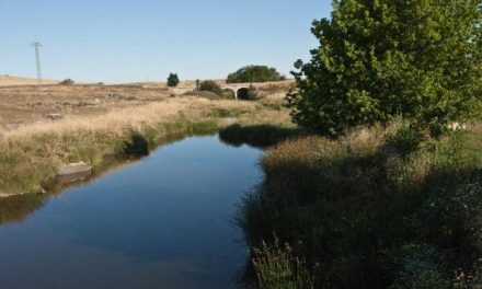 Medio Ambiente incluye un proyecto del río Magasca de Adicomt en la estrategia de restauración de ríos