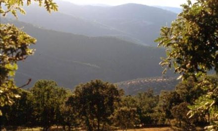 El Ministerio de Medio Ambiente apoya el turismo sin barreras a través de rutas por la comarca de Tentudía