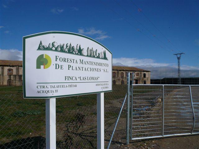 Una empresa participada por Florentino Pérez invertirá 40 millones en una planta solar fotovoltaica en Talayuela