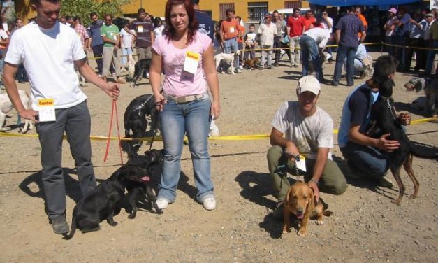 Ecologistas Granadilla concienciará sobre el abandono animal en la Feria del Perro de Ahigal