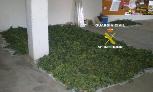La Guardia Civil desmantela un punto de cultivo y venta de marihuana en Montehermoso