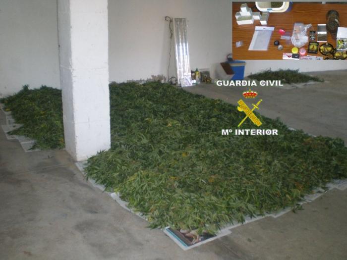 La Guardia Civil desmantela un punto de cultivo y venta de marihuana en Montehermoso
