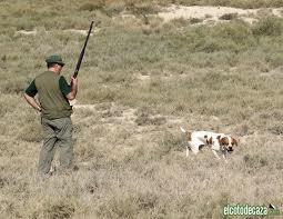 La temporada de caza menor comienza este miércoles en Extremadura y se extenderá hasta el 6 de enero
