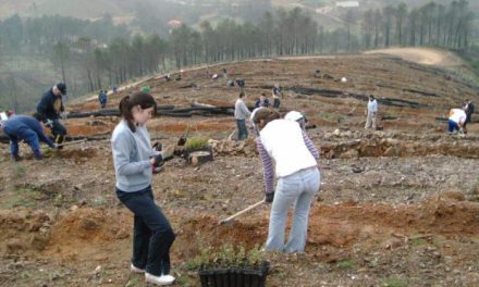 Un grupo de voluntarios de la asociación Cúriga Ecologistas planta 120 árboles en parajes de el pueblo de Monesterio