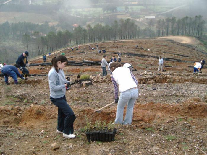 Un grupo de voluntarios de la asociación Cúriga Ecologistas planta 120 árboles en parajes de el pueblo de Monesterio