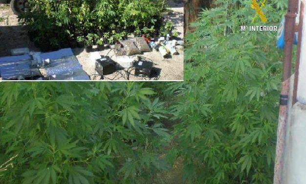 La Guardia Civil detiene a 22 personas en La Vera acusadas de tráfico de drogas y cultivo de marihuana