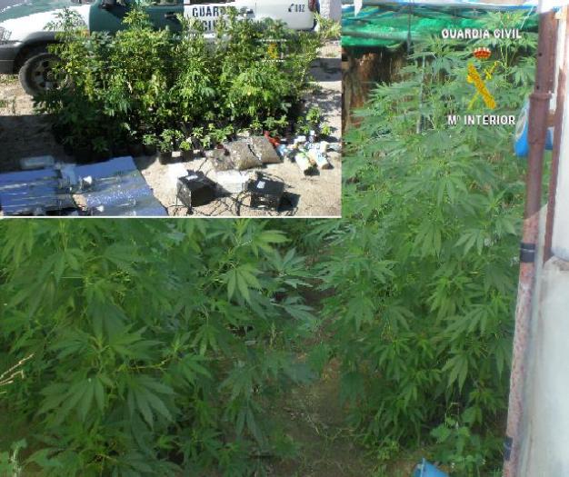 La Guardia Civil detiene a 22 personas en La Vera acusadas de tráfico de drogas y cultivo de marihuana