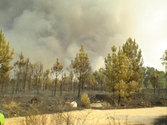 El incendio forestal de Valverde del Fresno que se inició en la madrugada está «estabilizado» y bajo control