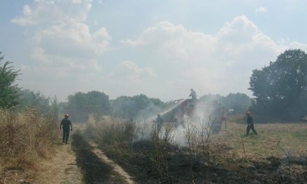 SEO/BirdLife denuncia que Extremadura se salta la prohibición europea de quemar rastrojos de cultivo