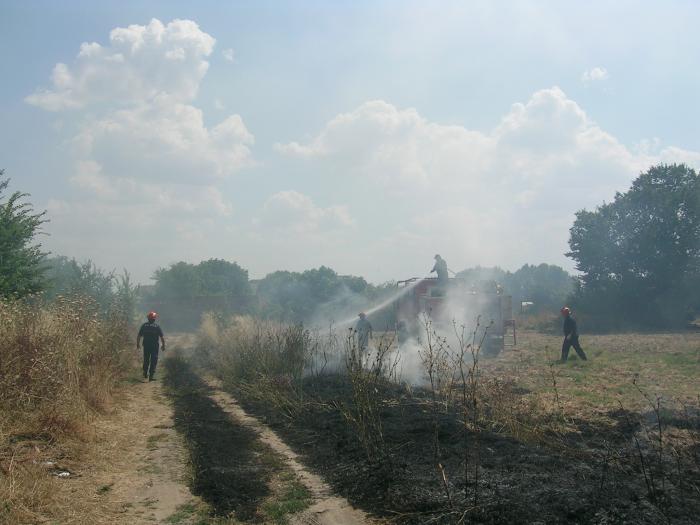 SEO/BirdLife denuncia que Extremadura se salta la prohibición europea de quemar rastrojos de cultivo