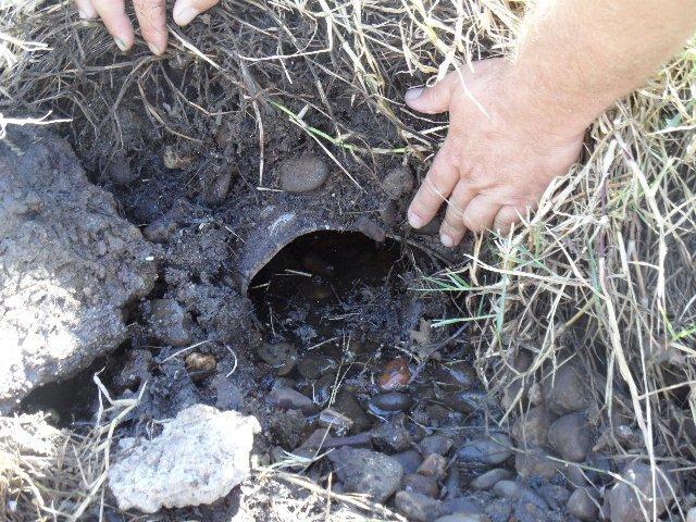 Ecologistas y vecinos de San Martín testificarán en el juicio del ganadero afectado por los vertidos de alpechín