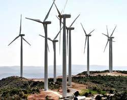 El Gobierno de Extremadura mantendrá el apoyo a los proyectos sobre energías renovables