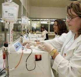 La Asociación para la Donación de la Médula Ósea solicita donaciones de la sangre del cordón umbilical