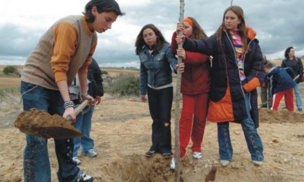 Cerca de 1.000 voluntarios plantarán 40.000 árboles durante 9 fines de semana en montes extremeños