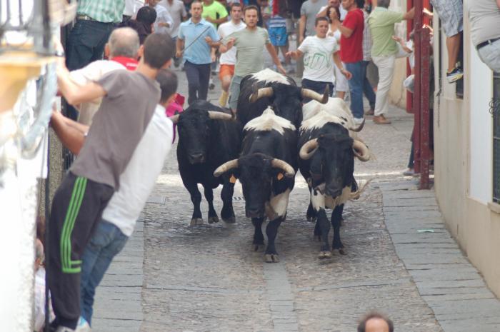 El Ayuntamiento de Coria señalizará de forma especial el recorrido de los encierros taurinos de San Juan