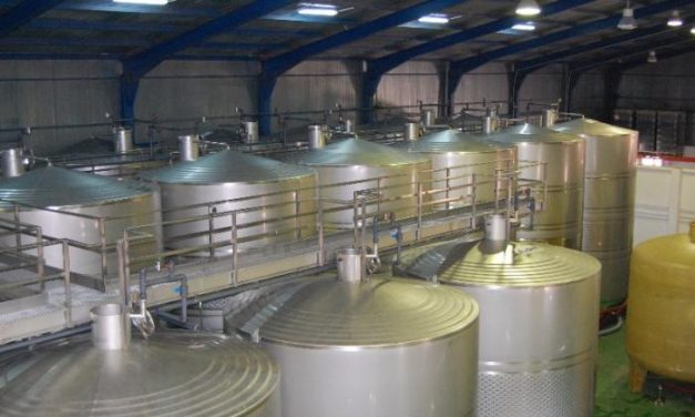 Acenorca lanza los nuevos vinos de Sierra de Gata y duplica la producción de la campaña anterior