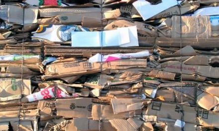 El Ayuntamiento de la ciudad de Plasencia pone en marcha un sistema de retirada de papel y cartón