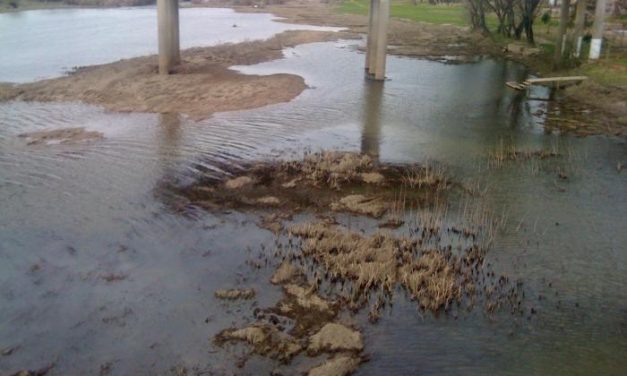 La CHT autoriza al Ayuntamiento de Coria la limpieza del río Alagón en el entorno de los chiringuitos
