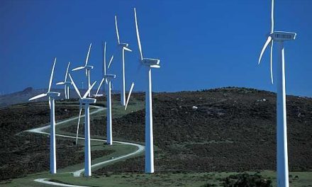 Doce colectivos sociales aseguran que Extremadura no es el «lugar idóneo» para implantar parques eólicos