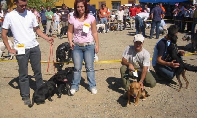El Ayuntamiento de Cáceres atiende  las demandas de los dueños de perros para la búsqueda de espacios