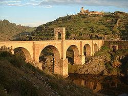 Colectivos de Alcántara reclaman actuaciones en el estado de conservación del Puente Romano