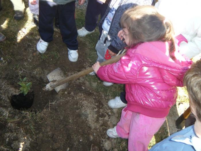 Los alumnos de Hervás participan en la reforestación y ornamentación del entorno escolar del colegio