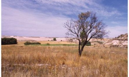 Apag Extremadura Asaja considera como positivo que se declare como situación de sequía leve el mes de enero