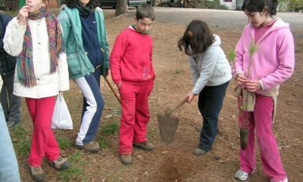 Jóvenes extremeños y lusos participarán en tareas de reforestación en Valencia de Alcántara y en Portugal