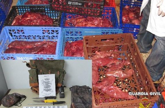 El Seprona sorprende a un presunto furtivo cuando transportaba más de 200 kg de carne de cuatro ciervos