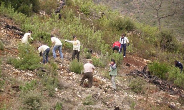 Los alumnos del IES Loustau Valverde de Valencia de Alcántara participan en un proyecto de reforestación
