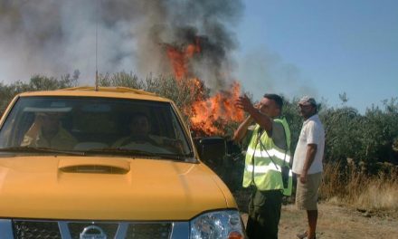Efectivos del Infoex trabajan para controlar los incendios forestales declarados en Gata y el Valle del Jerte