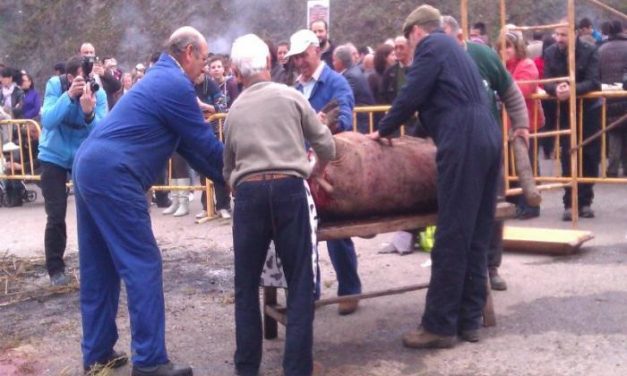 Caminomorisco reparte 1.400 kilos de carne en la celebración de la matanza tradicional hurdana