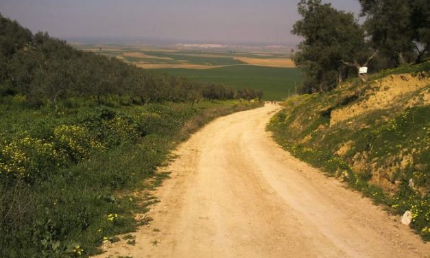 La Consejería de Agricultura abre el proceso para contratar los trabajos de mejora de caminos rurales en Alcántara