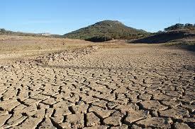 UPA-UCE y COAG se manifestarán el día 18 para exigir respuestas a la crisis generada por  la sequía