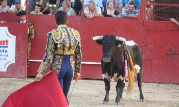 Las fiestas de San Buenaventura de Moraleja suprimen una novillada en la feria taurina de julio