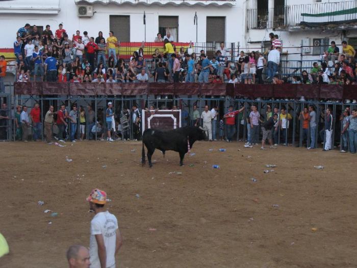 El Consejo Asesor de Asuntos Taurinos de Extremadura se compromete a revisar la normativa