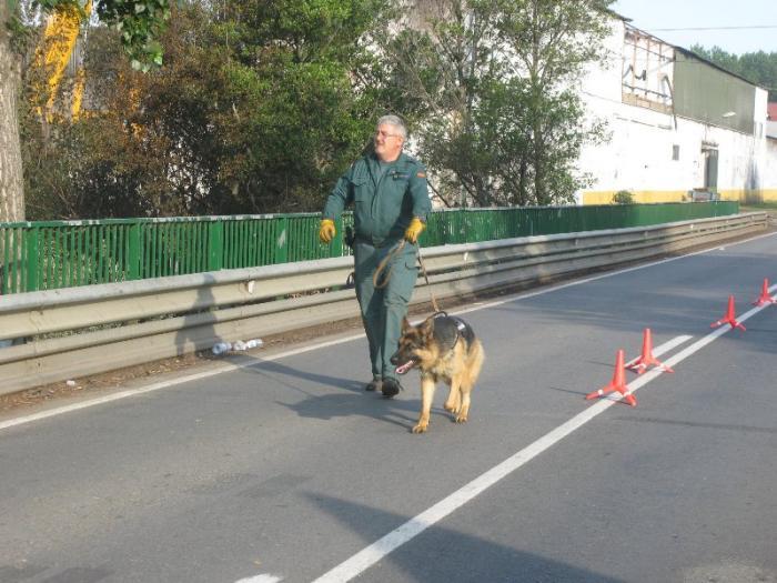 Los canes de la Guardia Civil abandonan la búsqueda del trabajador desaparecido en la explosión de Moraleja