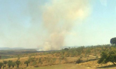 La temporada de peligro alto de incendios forestales en Extremadura se establece a partir del 1 de junio