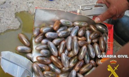 La Guardia Civil detiene a una persona que ocultaba en un tetrabrik de zumo más de un kilo de droga