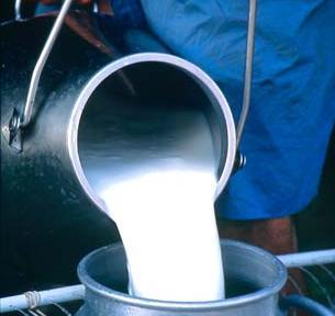 Investigadores extremeños mejoran la eficacia de la  presión  en la eliminación de bacterias patógenas de leche