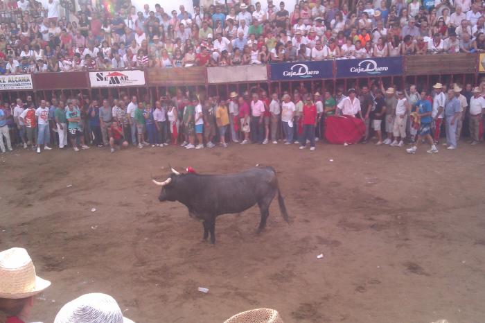 La lidia del astado de la Peña Junta de Defensa concluye en la Plaza de España sin heridos por asta de toro